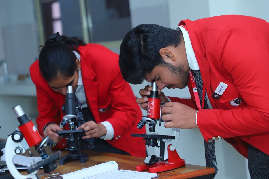 Senior Secondary Level